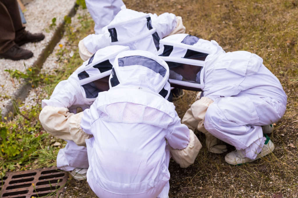 enfant apiculture