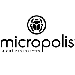 Micropolis
